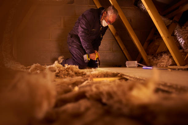 Best Cellulose Insulation in Aspermont, TX